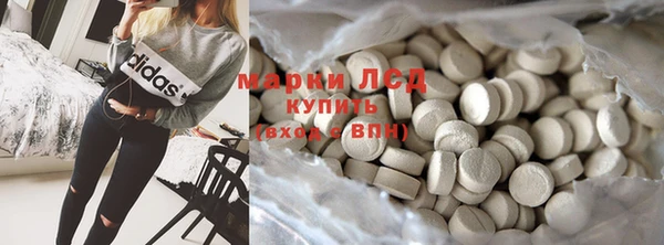 индика Бронницы