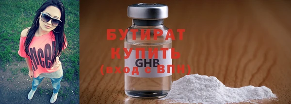сатива Бородино