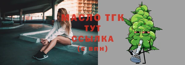 сатива Бородино