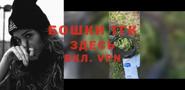 индика Бронницы