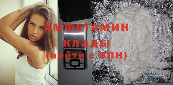 сатива Бородино