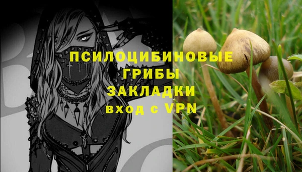 индика Бронницы
