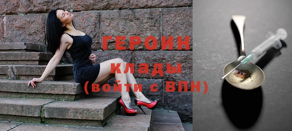 индика Бронницы