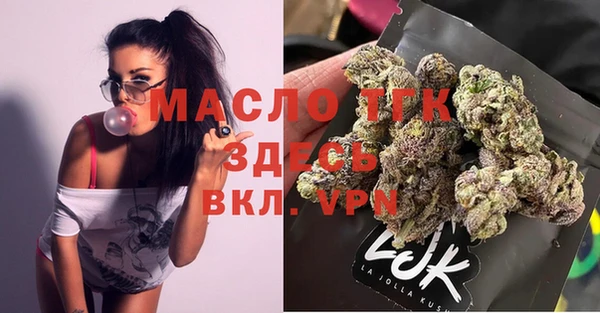 сатива Бородино