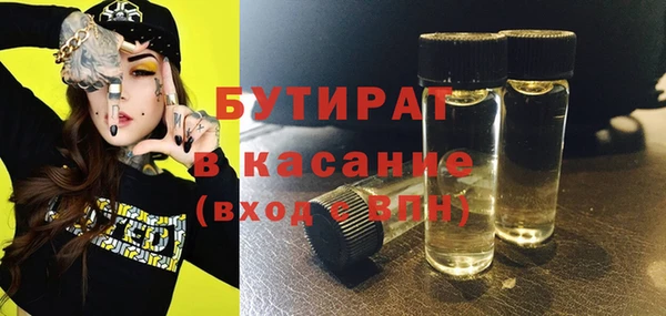 индика Бронницы