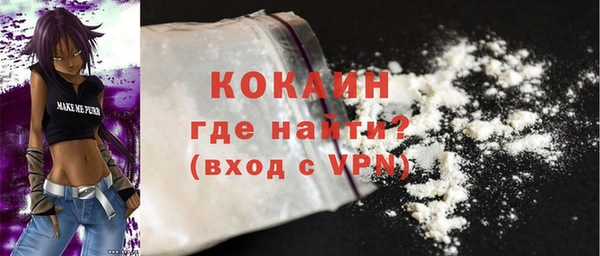 сатива Бородино