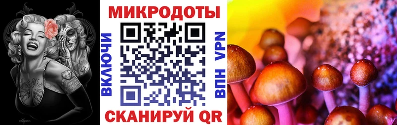 Купить закладки  Белокуриха  Псилоцибиновые грибы мухоморы 